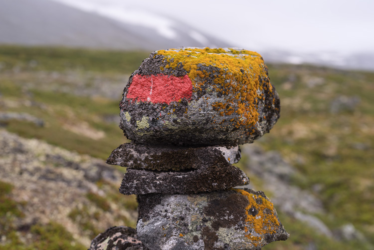 Marker